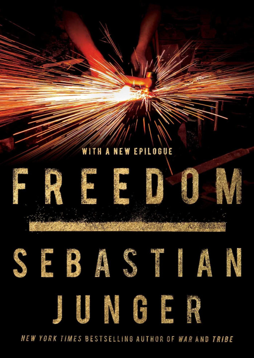 Book Freedom Junger