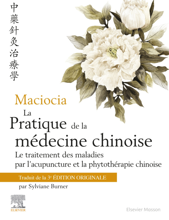 Kniha Maciocia La pratique de la médecine chinoise Giovanni Maciocia