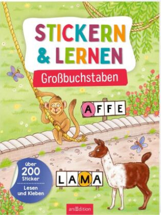 Kniha Stickern & Lernen - Großbuchstaben Katja Schmiedeskamp