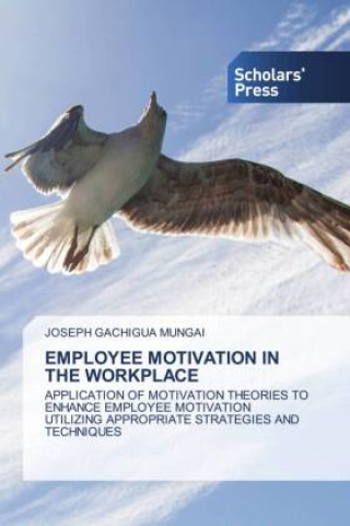 Carte EMPLOYEE MOTIVATION IN THE WORKPLACE 