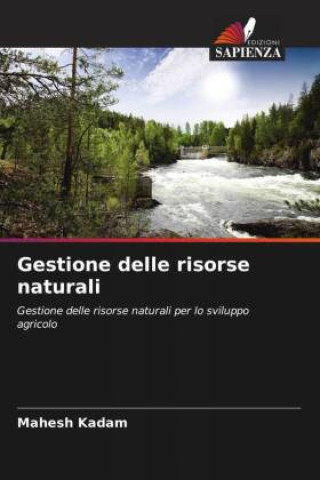 Knjiga Gestione delle risorse naturali Rushikesh Bhise
