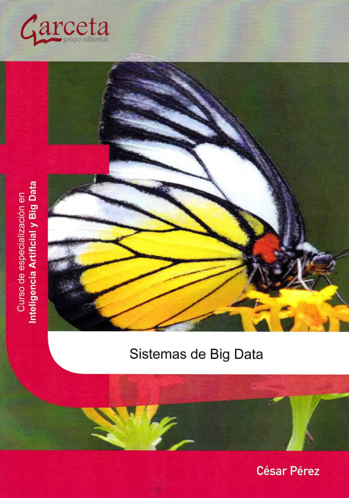 Book Sistemas De Big Data PEREZ LOPEZ