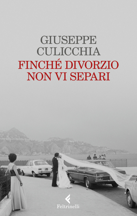 Kniha Finché divorzio non vi separi Giuseppe Culicchia
