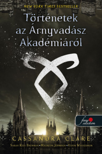 Buch Történetek az Árnyvadász Akadémiáról Cassandra Clare