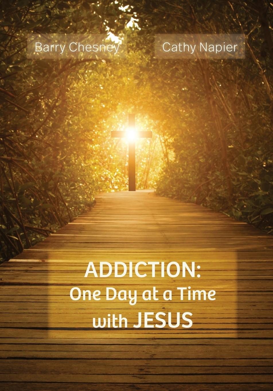 Knjiga ADDICTION Cathy Napier