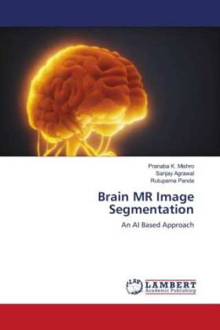Knjiga Brain MR Image Segmentation Sanjay Agrawal