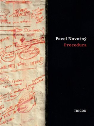 Kniha Procedura Pavel Novotný