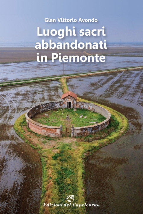 Kniha Luoghi sacri abbandonati in Piemonte Gian Vittorio Avondo
