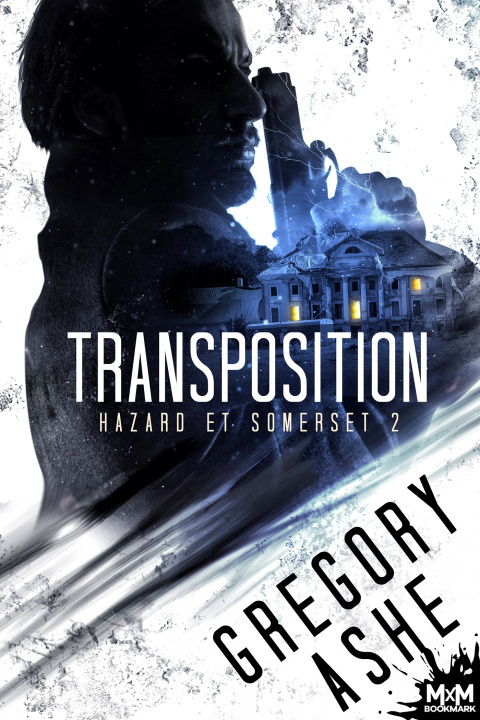 Knjiga Transposition Gregory Ashe