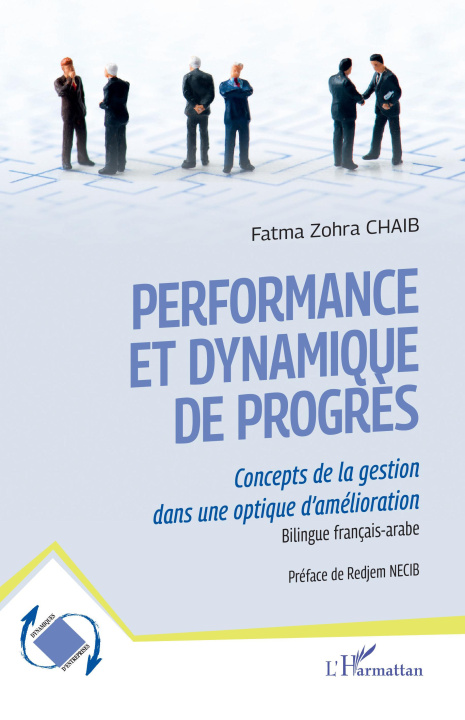 Kniha Performance et dynamique de progrès Chaib