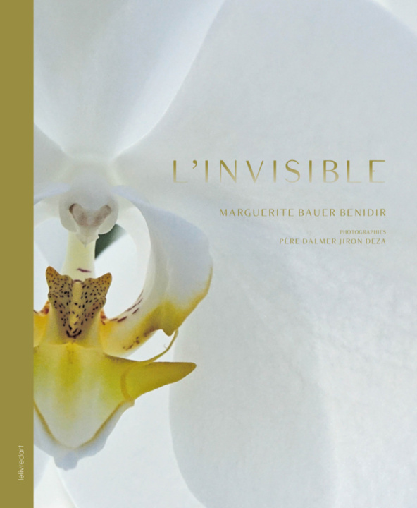 Boek L'INVISIBLE BENIDIR MARGUERITE