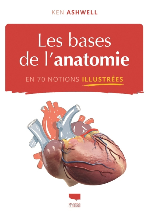 Книга Les Bases de l'anatomie en 70 notions illustrées Ken Ashwell