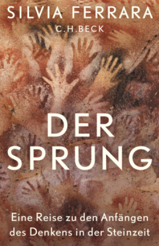 Buch Der Sprung Enrico Heinemann