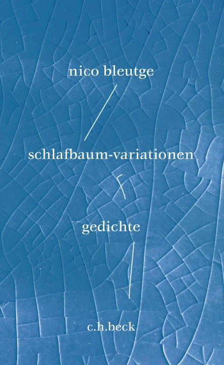 Knjiga schlafbaum-variationen Nico Bleutge