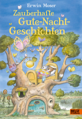 Knjiga Zauberhafte Gute-Nacht-Geschichten Erwin Moser