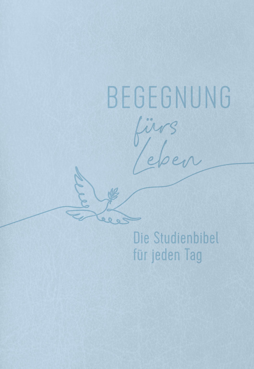 Kniha Begegnung fürs Leben, Kunstleder 