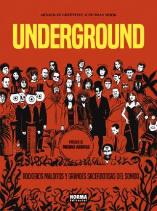Knjiga UNDERGROUND, ROCKEROS MALDITOS Y GRANDES SACERDOTISAS DEL SONIDO ARNAUD LE GOUEFFLEC