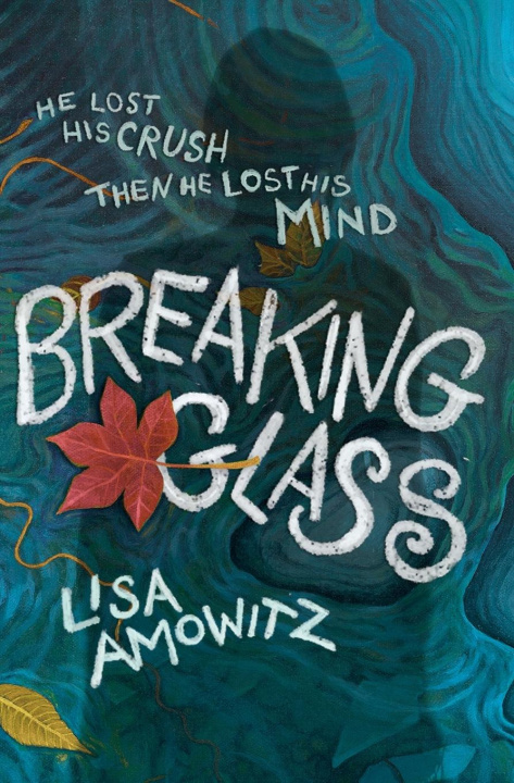 Buch Breaking Glass Lisa Amowitz