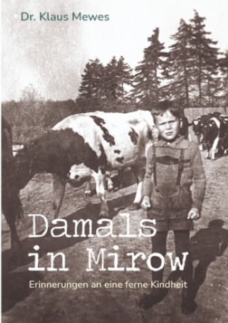 Kniha Damals in Mirow Klaus Mewes