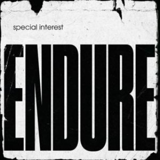 Аудио Endure 