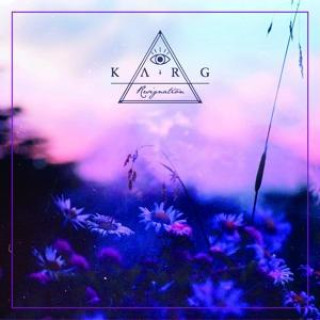 Audio Resignation Karg
