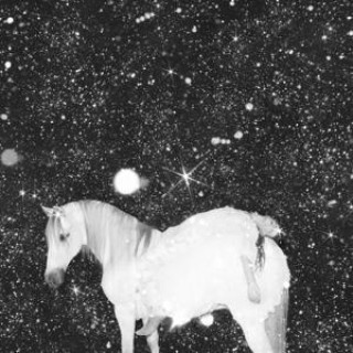 Audio Apocalypse Love Black Lips