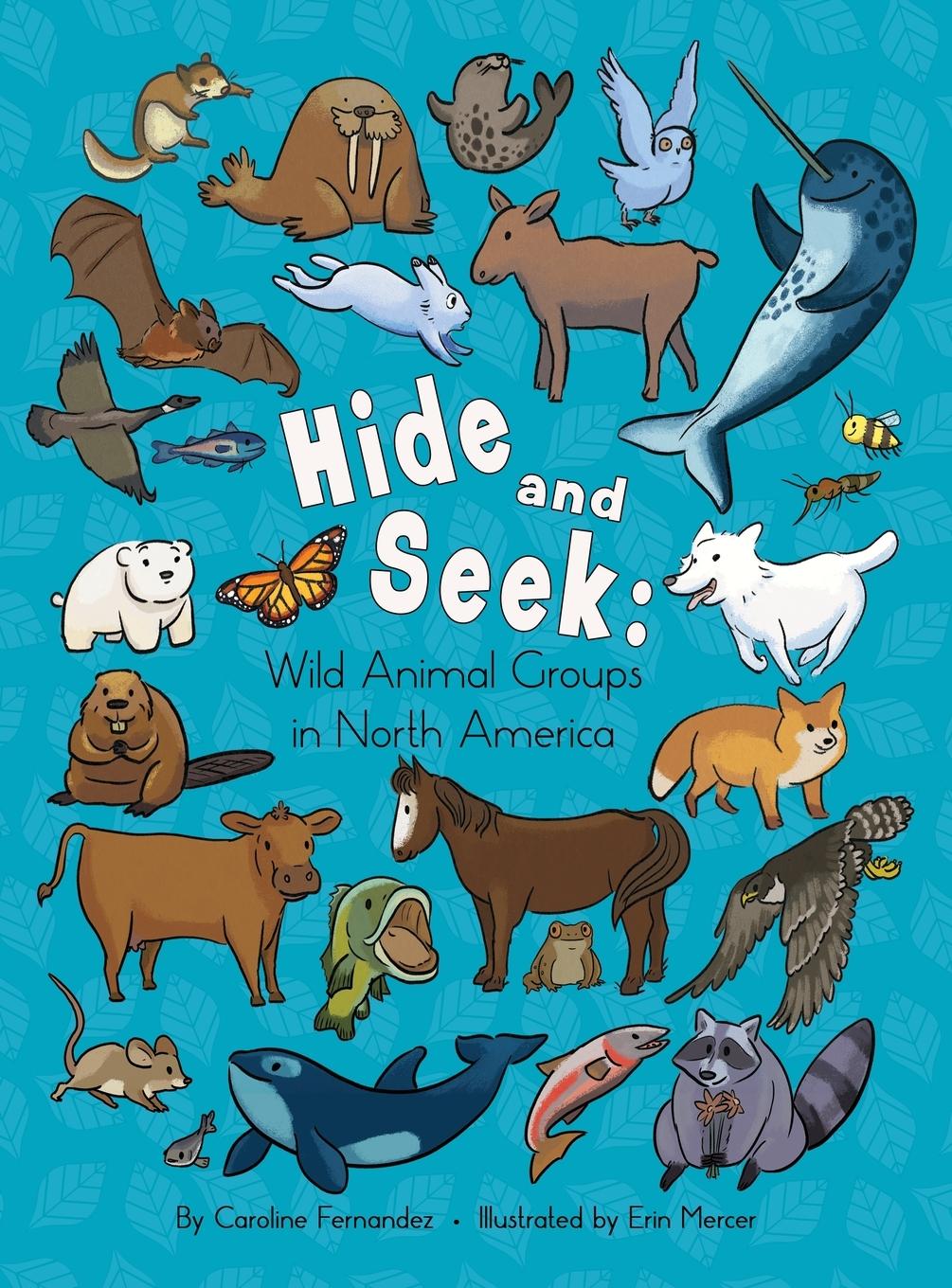 Knjiga Hide and Seek Caroline Fernandez