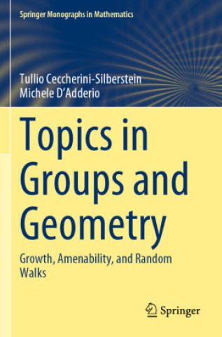 Buch Topics in Groups and Geometry Tullio Ceccherini-Silberstein