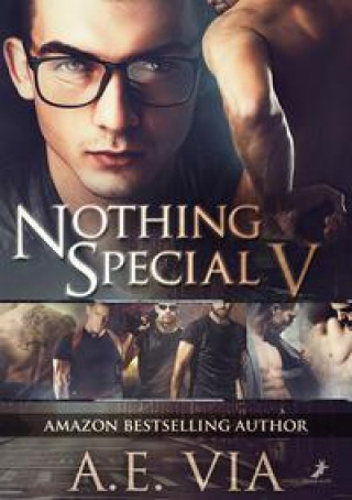 Boek Nothing Special V Julie Werner