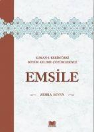 Knjiga Emsile 
