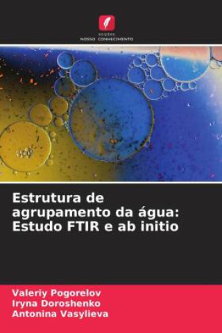 Książka Estrutura de agrupamento da água: Estudo FTIR e ab initio Valeriy Pogorelov