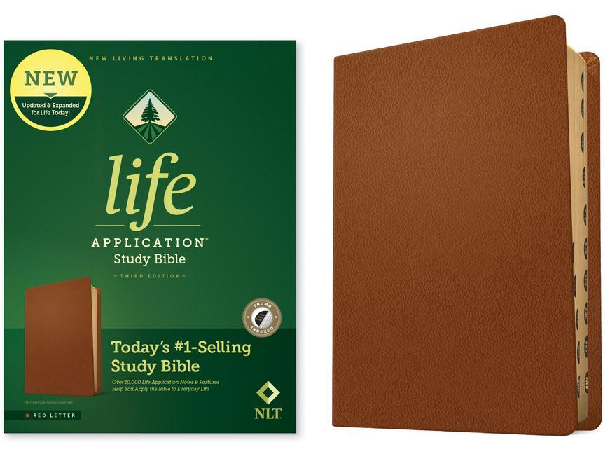 Książka NLT Life Application Study Bible, Third Edition (Red Letter, Genuine Leather, Brown, Indexed) 