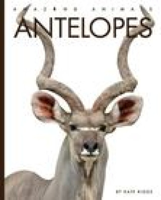 Kniha Antelopes 