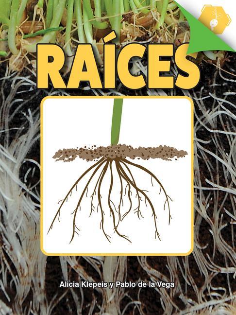 Knjiga Raíces: Roots Alicia Klepeis