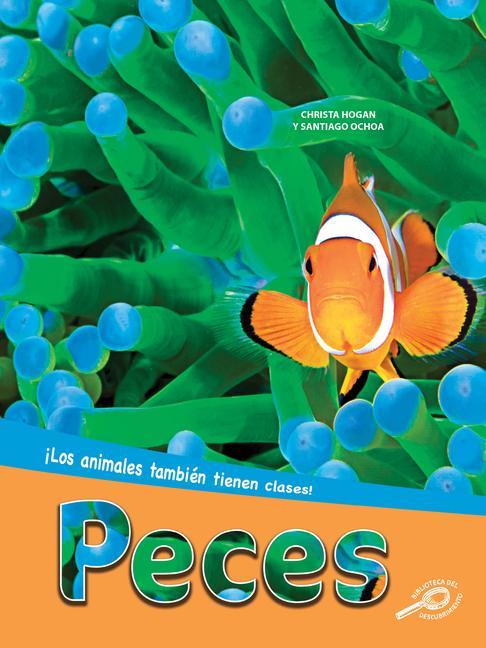 Knjiga Peces: Fish Christa Hogan