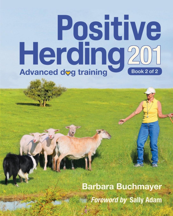Kniha Positive Herding 201 