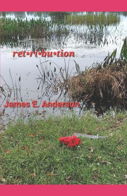 Knjiga Retribution: A Marcus Clemens Novel James E. Anderson