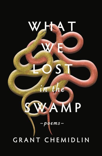 Könyv What We Lost in the Swamp: Poems 