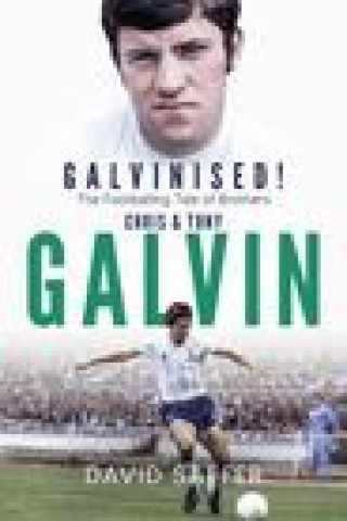 Book Galvanised David Saffer