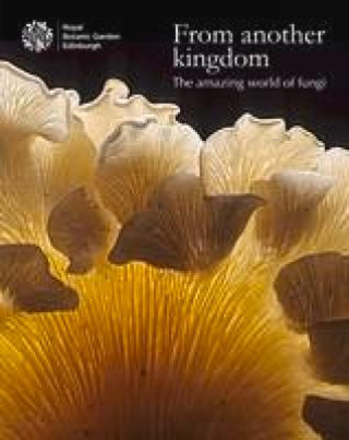 Buch From Another Kingdom: The Amazing World of Fungi Lynne Boddy