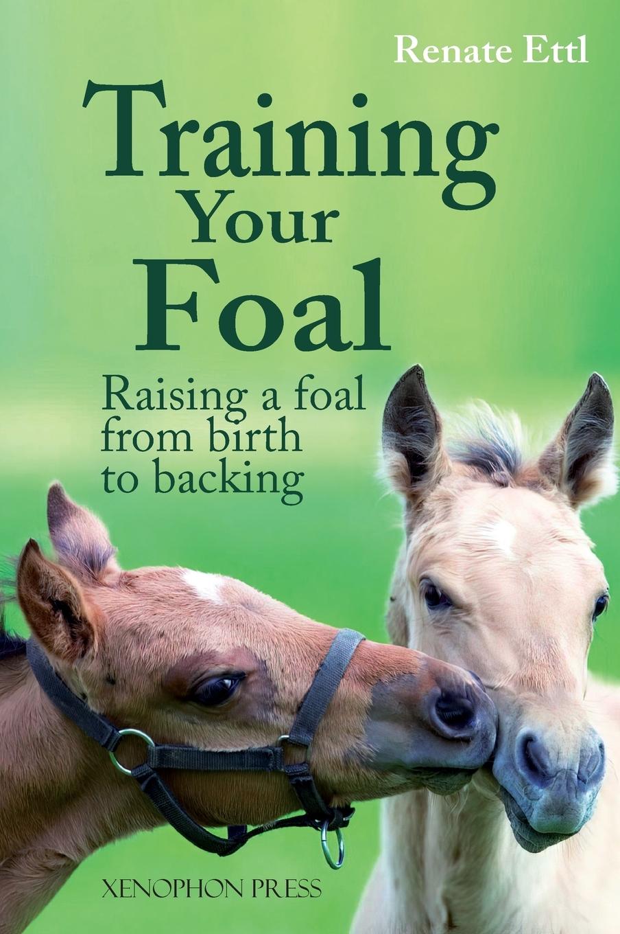 Könyv Training Your Foal 