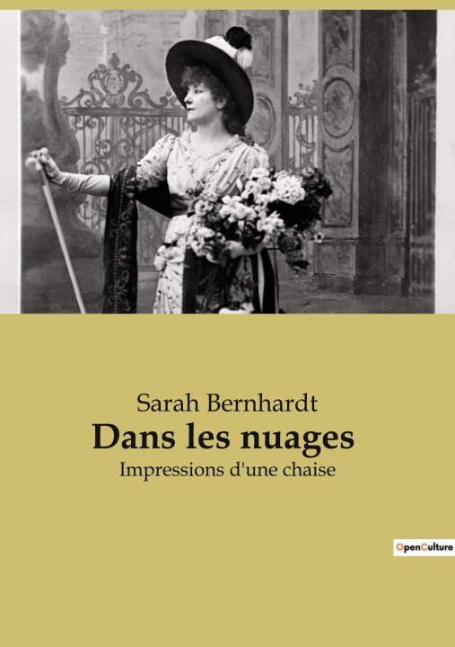 Book Dans les nuages Bernhardt