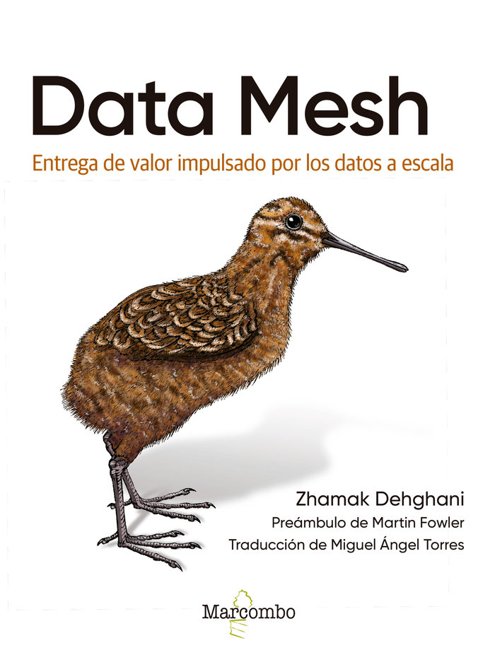 Kniha Data Mesh 