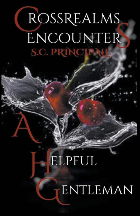 Buch CrossRealms Encounters S.C. Principale