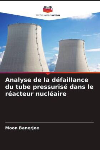 Kniha Analyse de la défaillance du tube pressurisé dans le réacteur nucléaire 