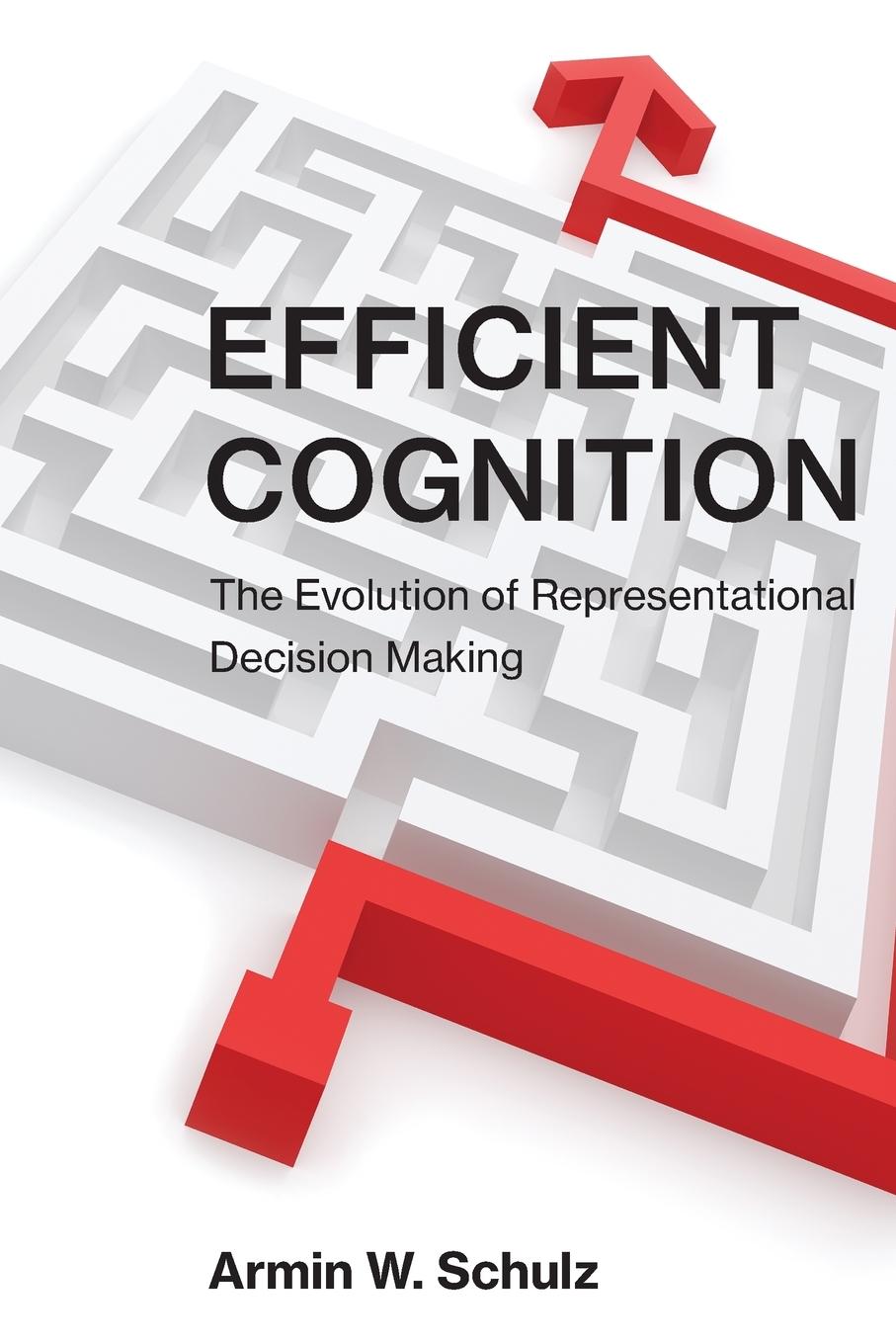 Knjiga Efficient Cognition Armin W. Schulz