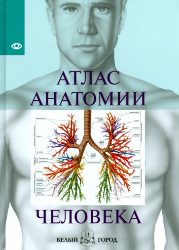 Könyv Атлас анатомии человека 