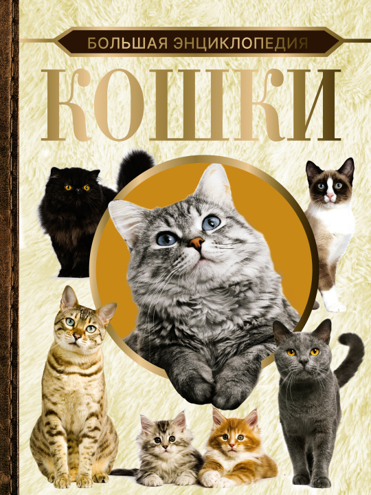 Carte Большая энциклопедия. Кошки 