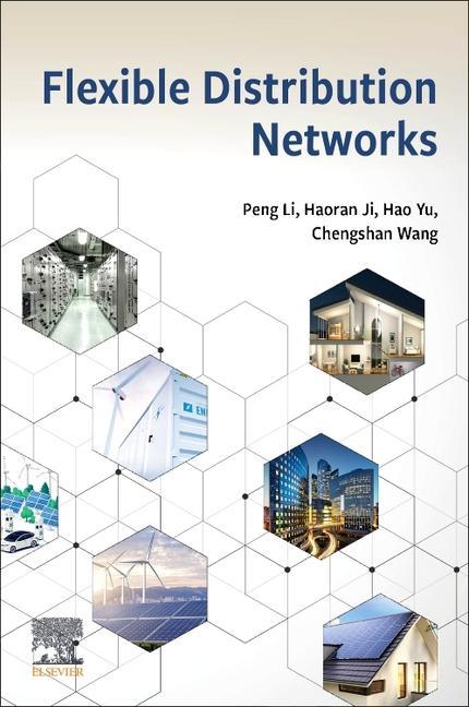 Könyv Flexible Distribution Networks Peng Li