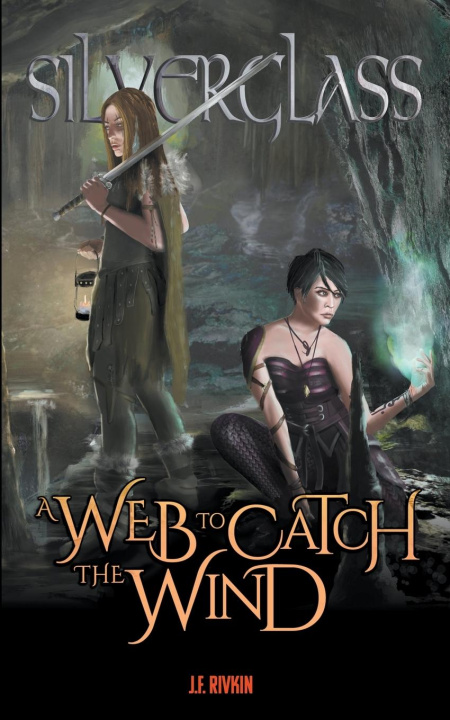 Boek A Web To Catch The Wind J. F. Rivkin